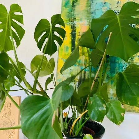 Mit Garten - Garden View * 克林麦克诺