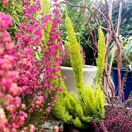 Daire Mit Garten - Garden View Kleinmachnow