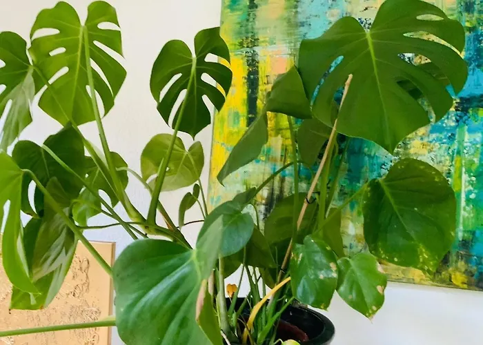 Mit Garten - Garden View * Kleinmachnow