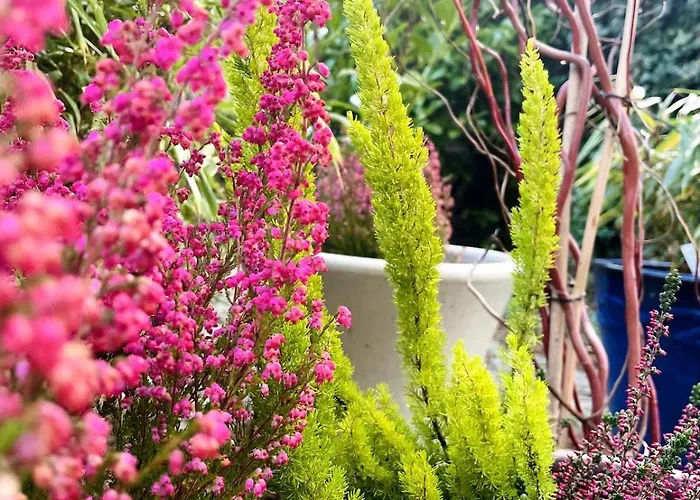 公寓 Mit Garten - Garden View 克林麦克诺